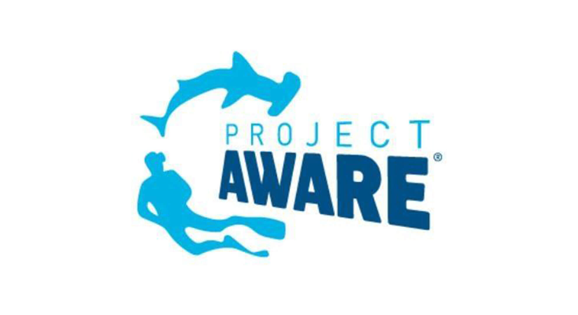Project Aware Video
