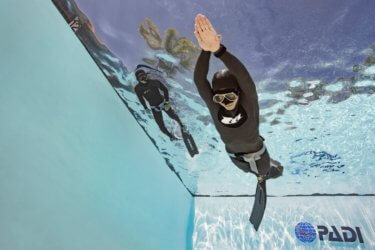 PADI Basic Freediver Aussie Divers Phuket