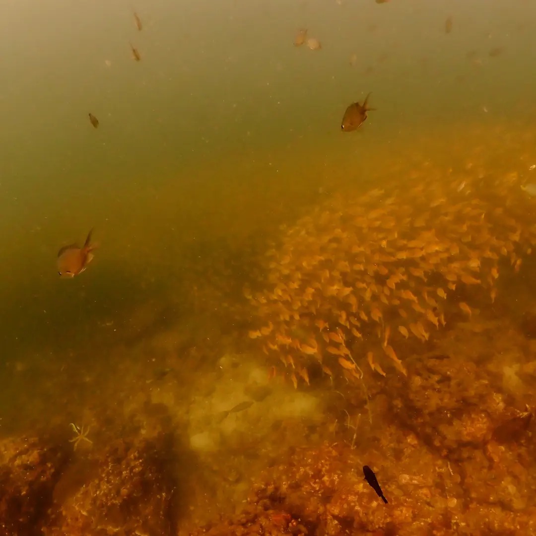 Phi Phi Visibility 2 5 minutes later