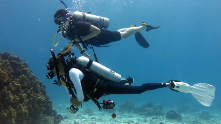 Aussie Divers Phuket Underwater Open Alix