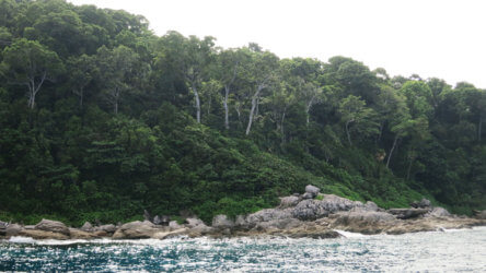 Three Trees Dive Site Similan Islands