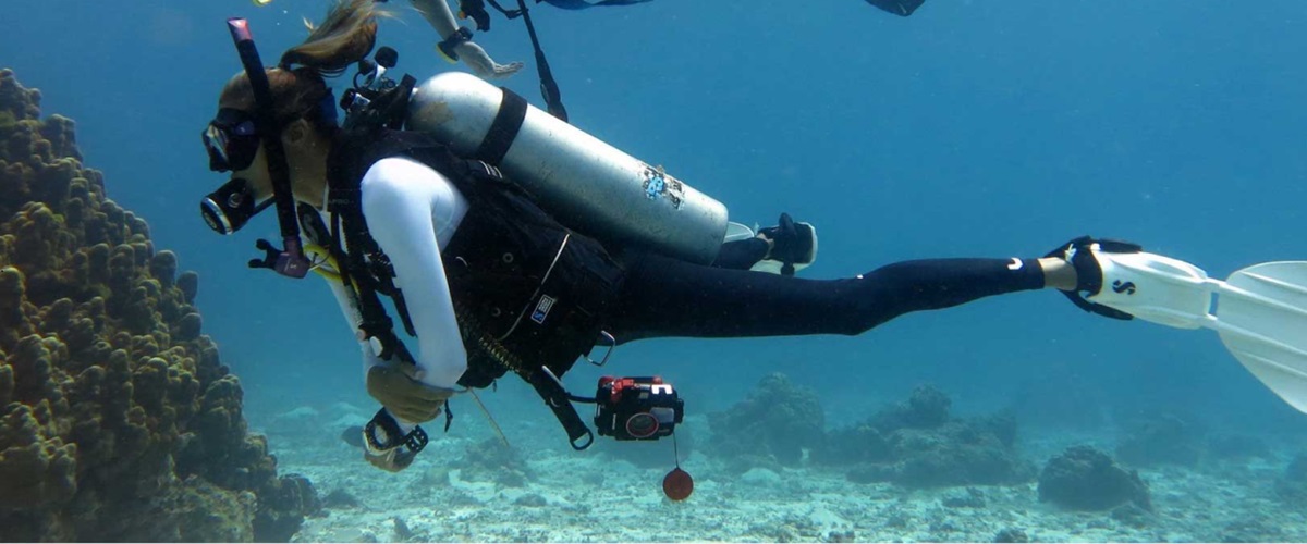 Scuba Diver looking at reef