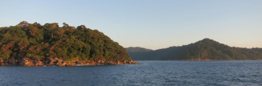 Diving Phuket Aussie Divers