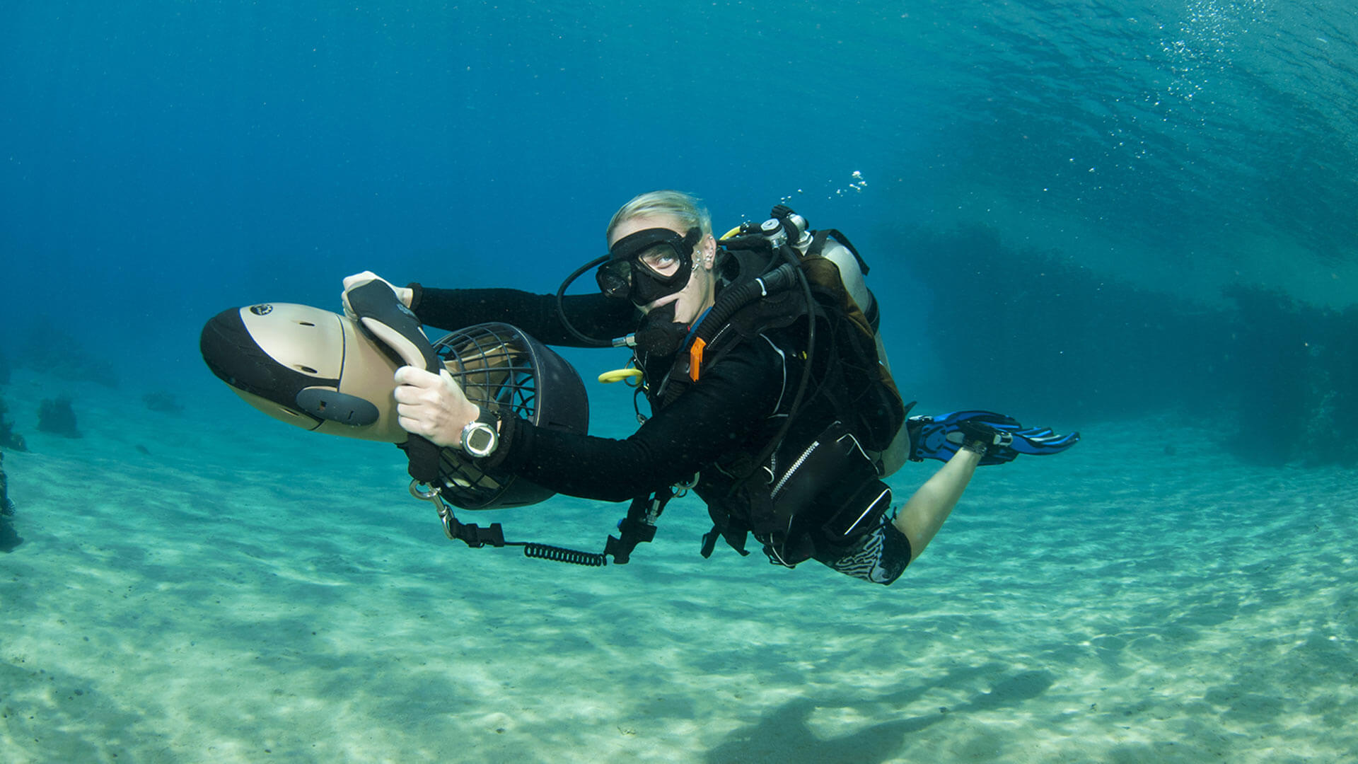 DPV Specialty Phuket