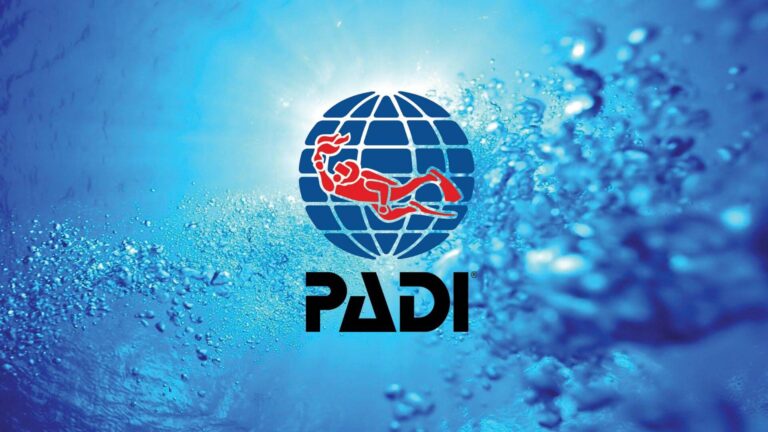 Padi Logo Underwater