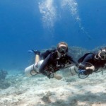 Buddy Breathing PADI Sidemount Course Aussie Divers