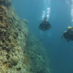 Twin Phi Phi Scuba Diving Aussie Divers