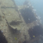 Aussie Divers Phuket Best Scuba King Cruiser Wreck Capains room