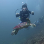 Aussie Divers Phuket Best Scuba Boat Girl Turtle