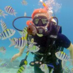 Scuba Diving Girls Phuket Female